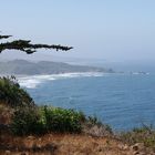 Pacific Ocean from Ragged Point, California