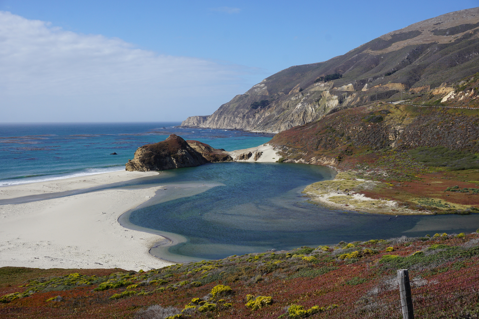 Pacific Pool