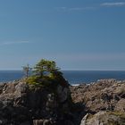 Pacific Rim National Park - Lighthouse Ucluelet