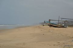 Pacific Strand