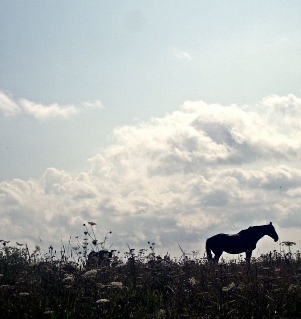 Pack deine Tasche und komm mit mir zum Horizont.