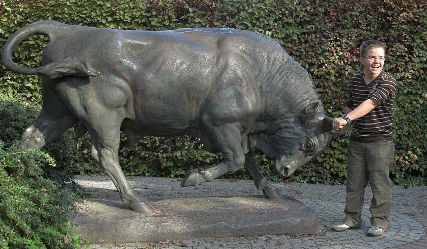 Pack den Stier bei den Hörnern - aber pass auf!