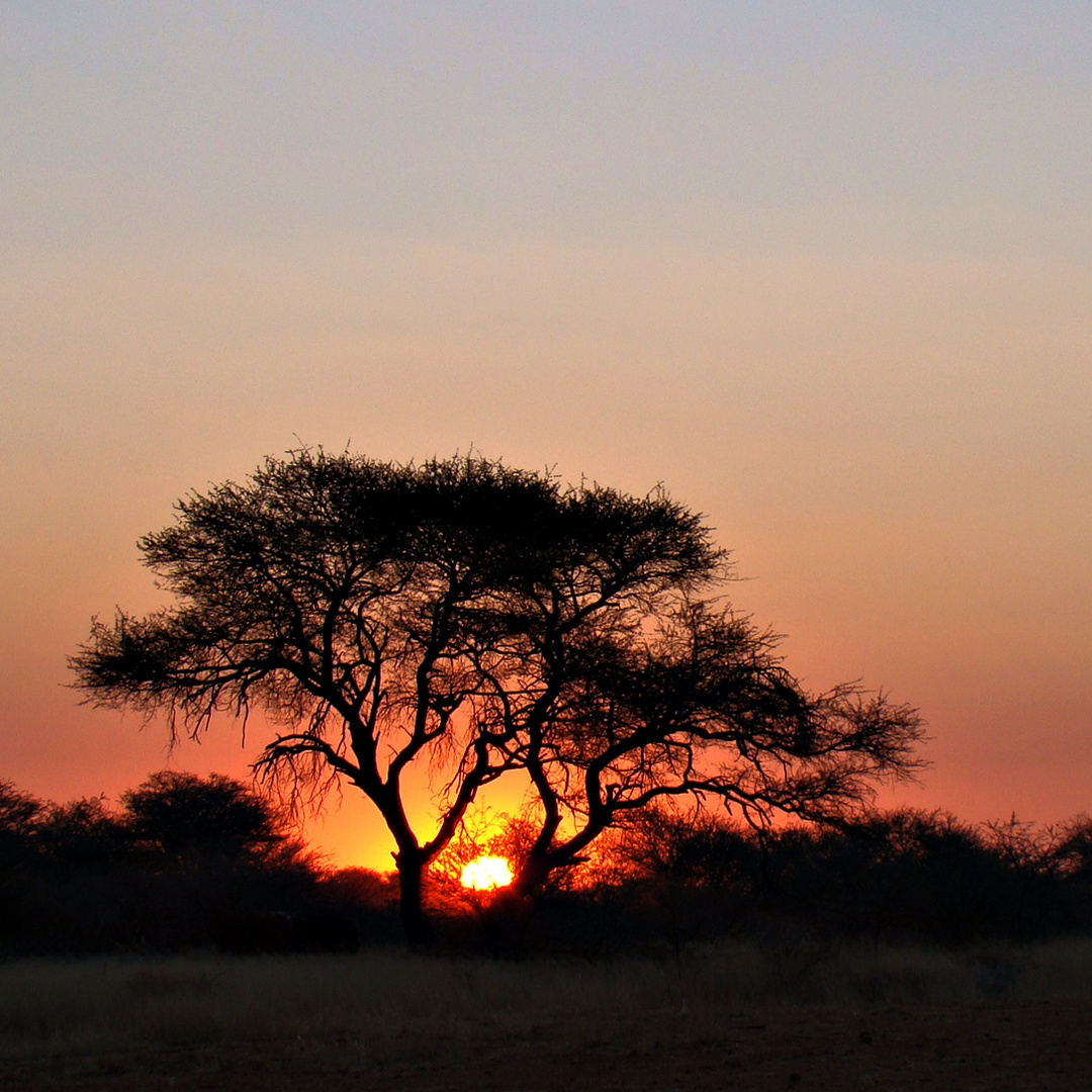 pack´den sundowner aus...