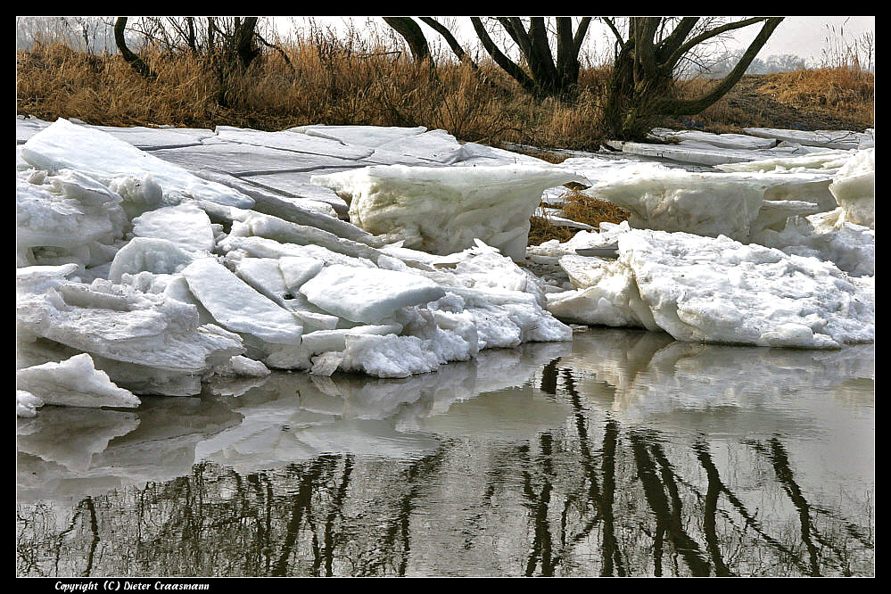 Packeis am Elbufer - Pack ice at the banks of the river Elbe