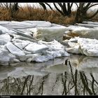 Packeis am Elbufer - Pack ice at the banks of the river Elbe