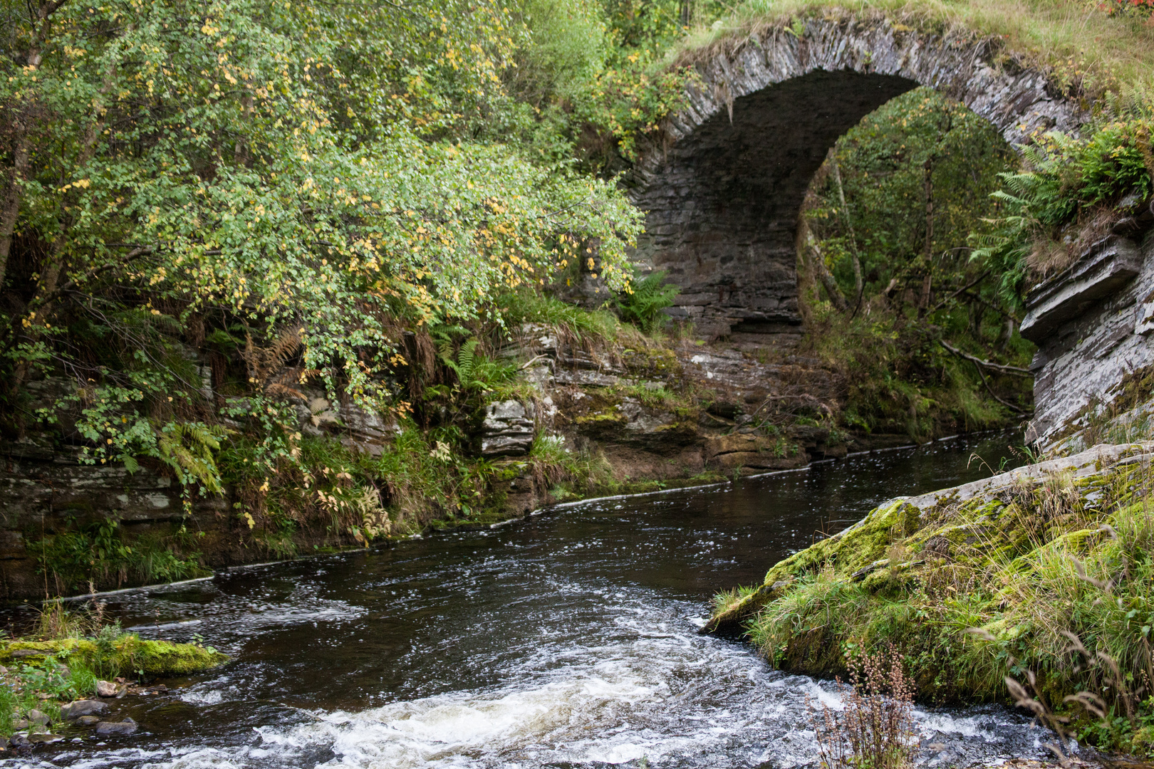 Packhores Bridge River Live