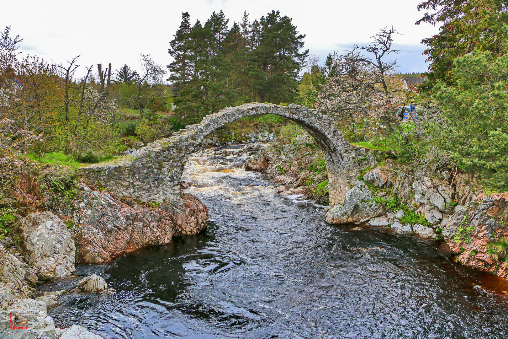 PackhorseBridge Foto & Bild architektur, europe, united kingdom