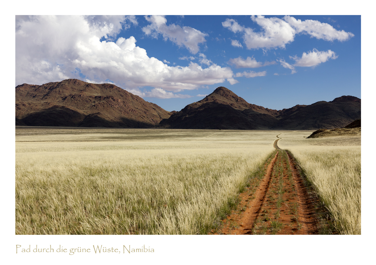 Pad in der Namib Bioshpere mit Tirasgebirge