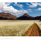 Pad in der Namib Bioshpere mit Tirasgebirge