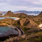 Padar Komodo