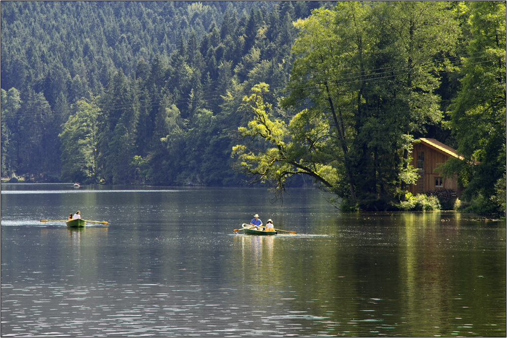 Paddeln am Höllensteinsee