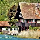 Paddeln auf dem geteilten Rhein nahe Wangen