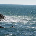 Paddeln bei Portovenere