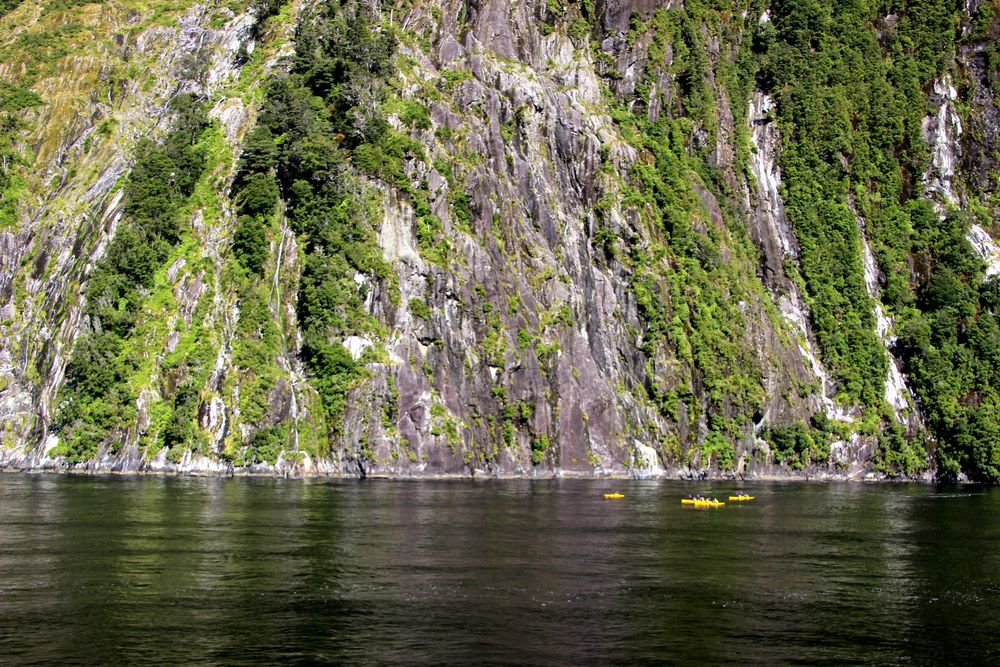 Paddeln im Milford Sound