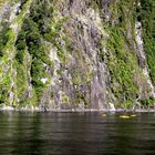 Paddeln im Milford Sound