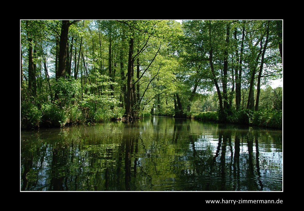 Paddeln im Spreewald