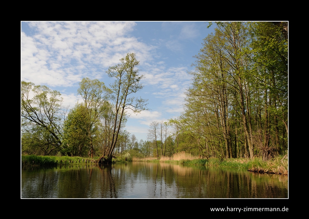 Paddeln im Spreewald