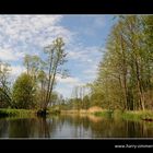 Paddeln im Spreewald