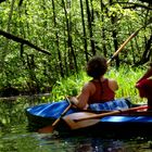 Paddeln in grüner Wildnis