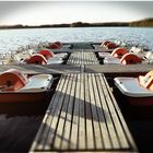 Paddle Boats