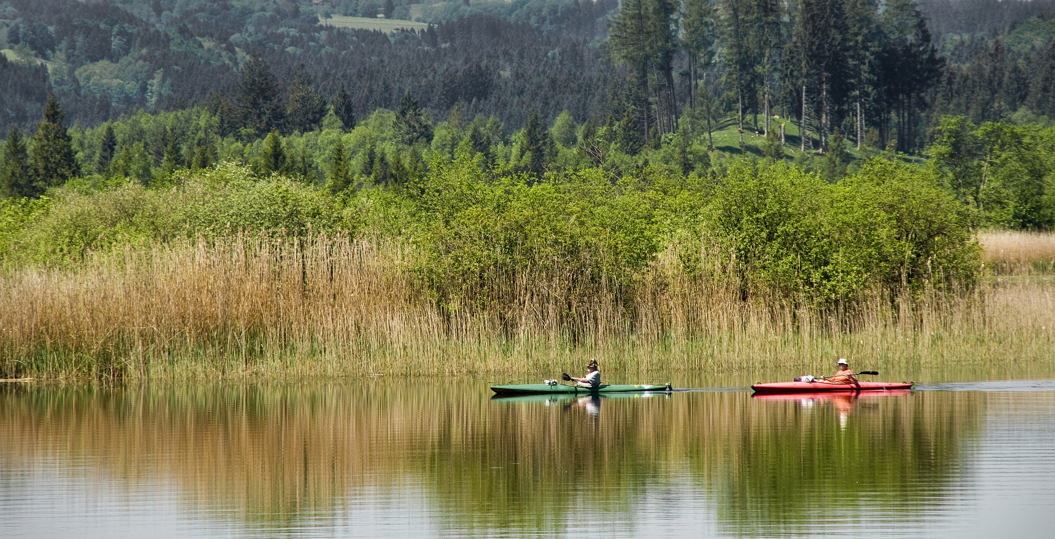 Paddler