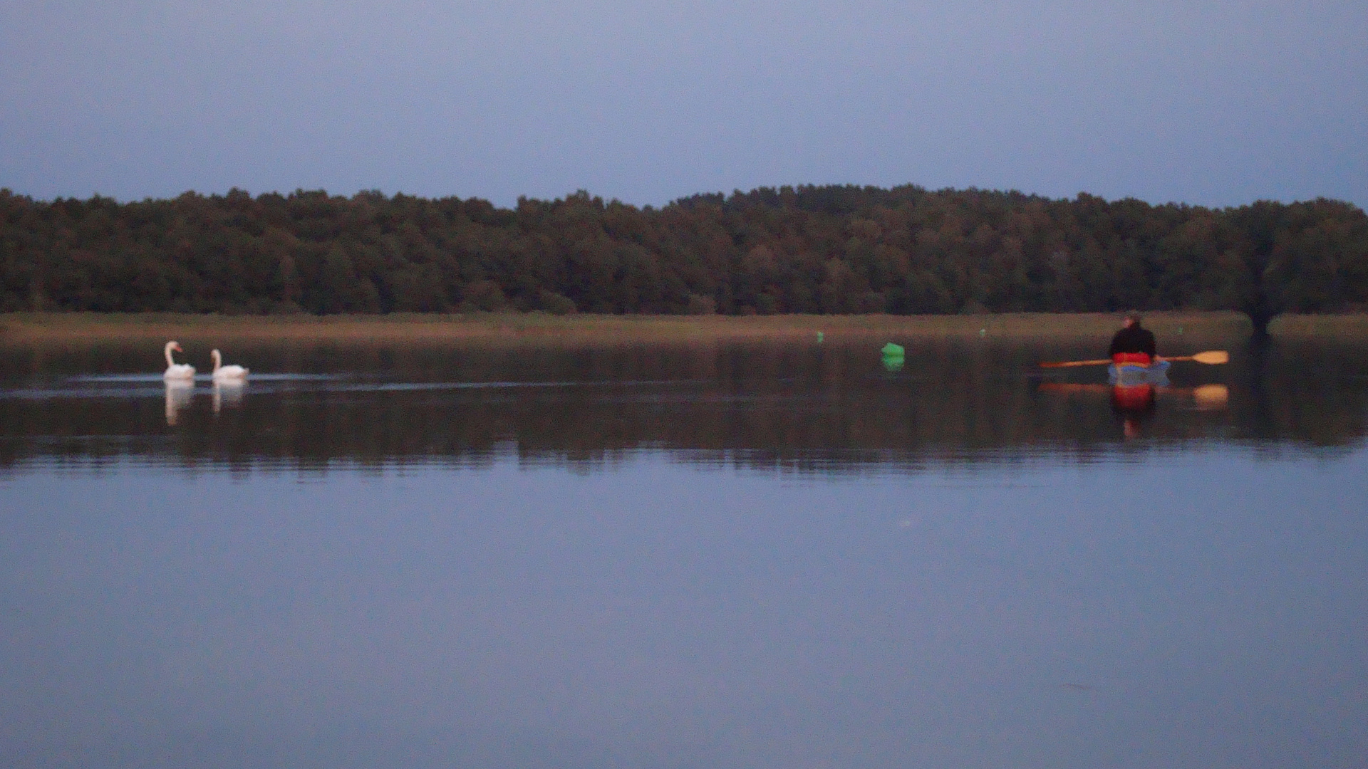 Paddler mit Schwanenpaar Var I