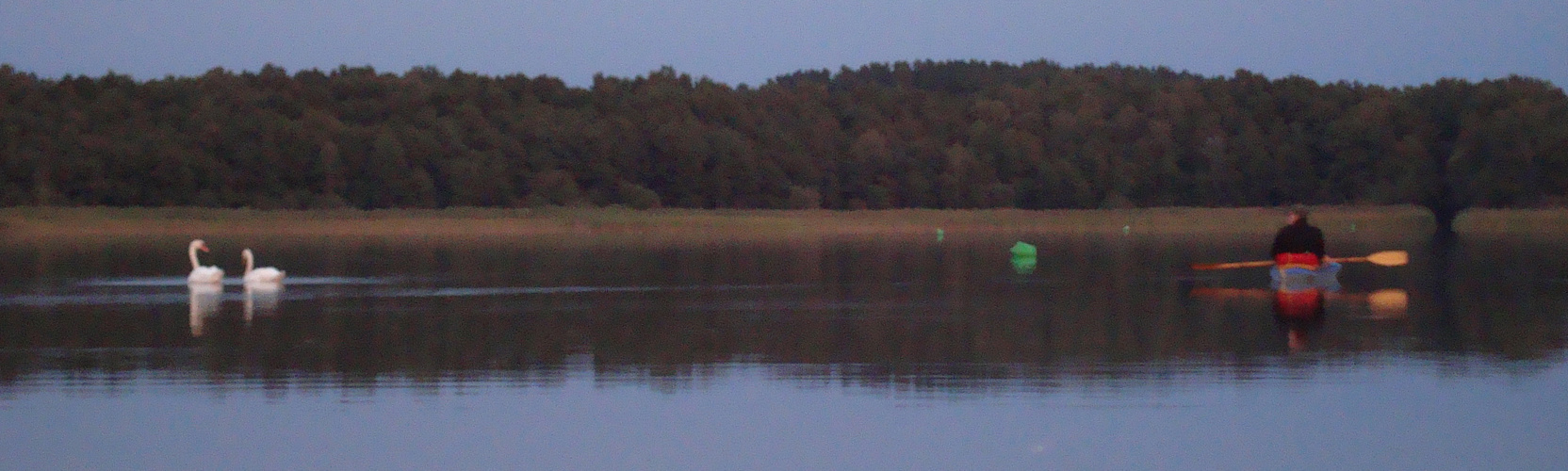 Paddler mit Schwanenpaar Var II