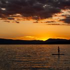 Paddling back home