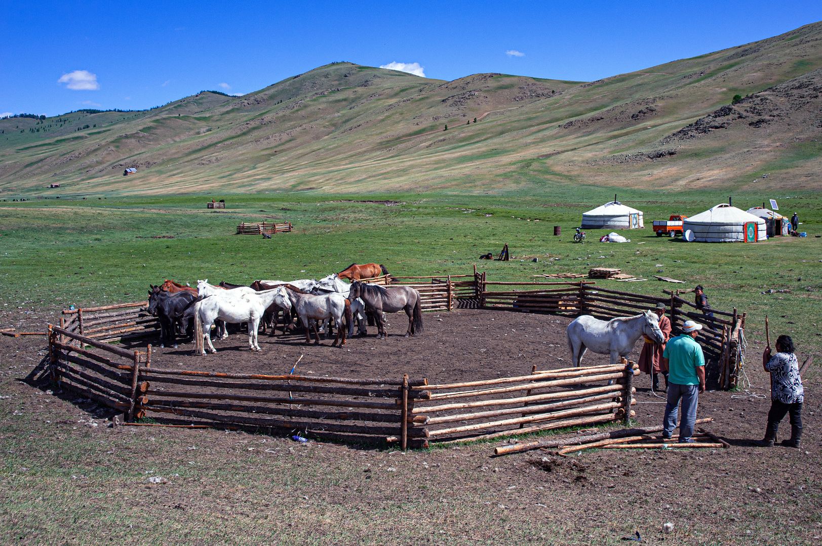 Paddock on the way to the Khögno Tarna Mountains