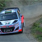 Paddon