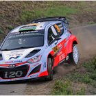 Paddon - Kennard