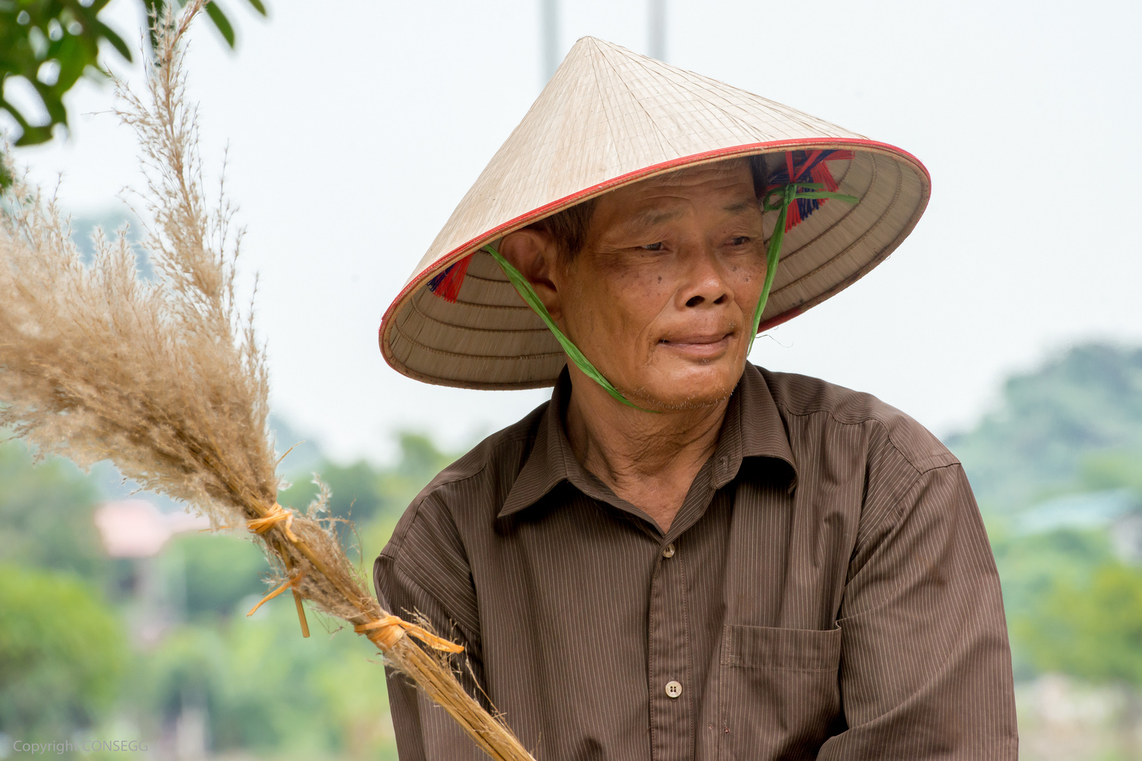 Paddy Farmer