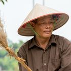 Paddy Farmer