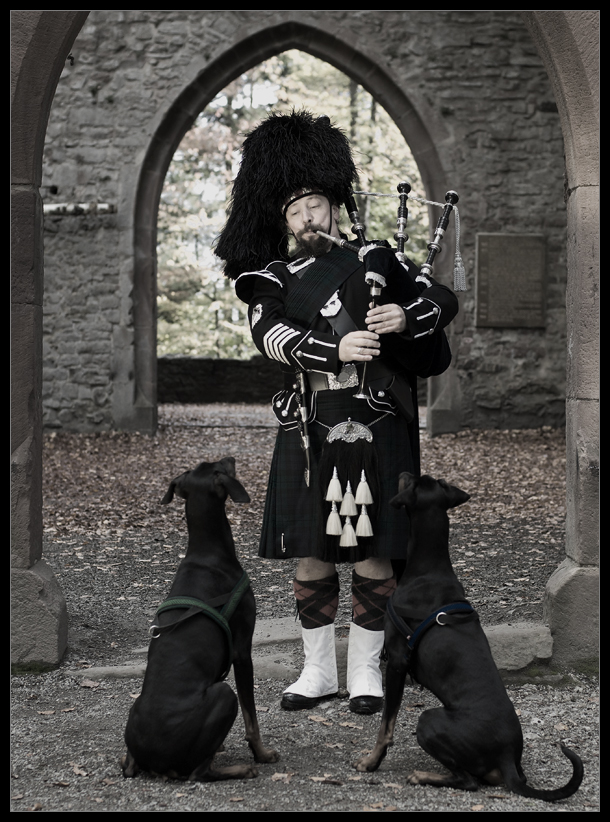 Paddy und seine Hunde