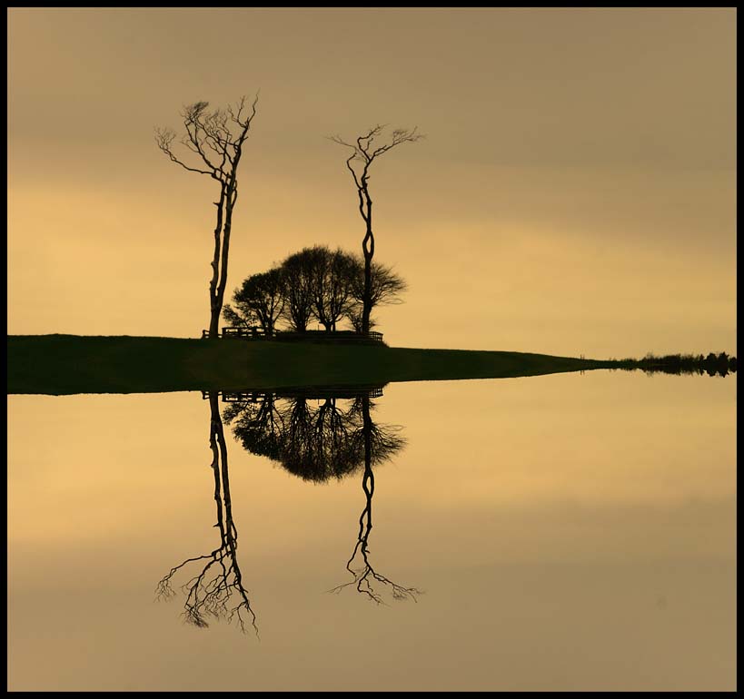 paddys mount reflected