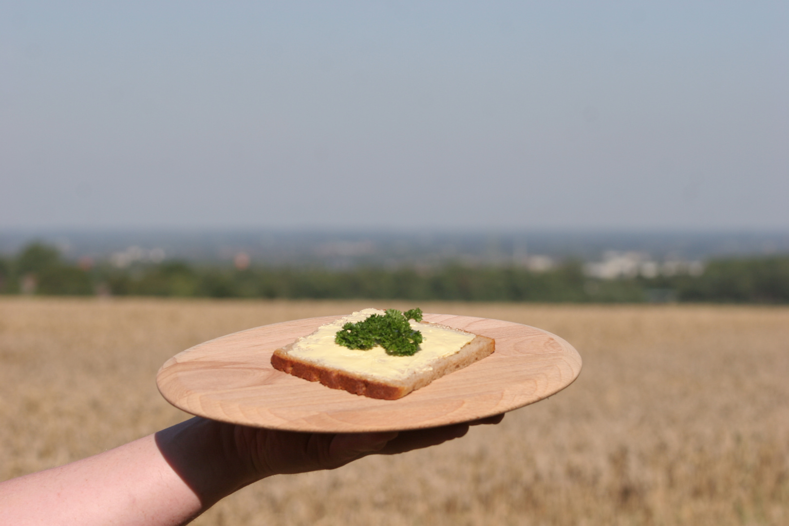 Paderborner Brot