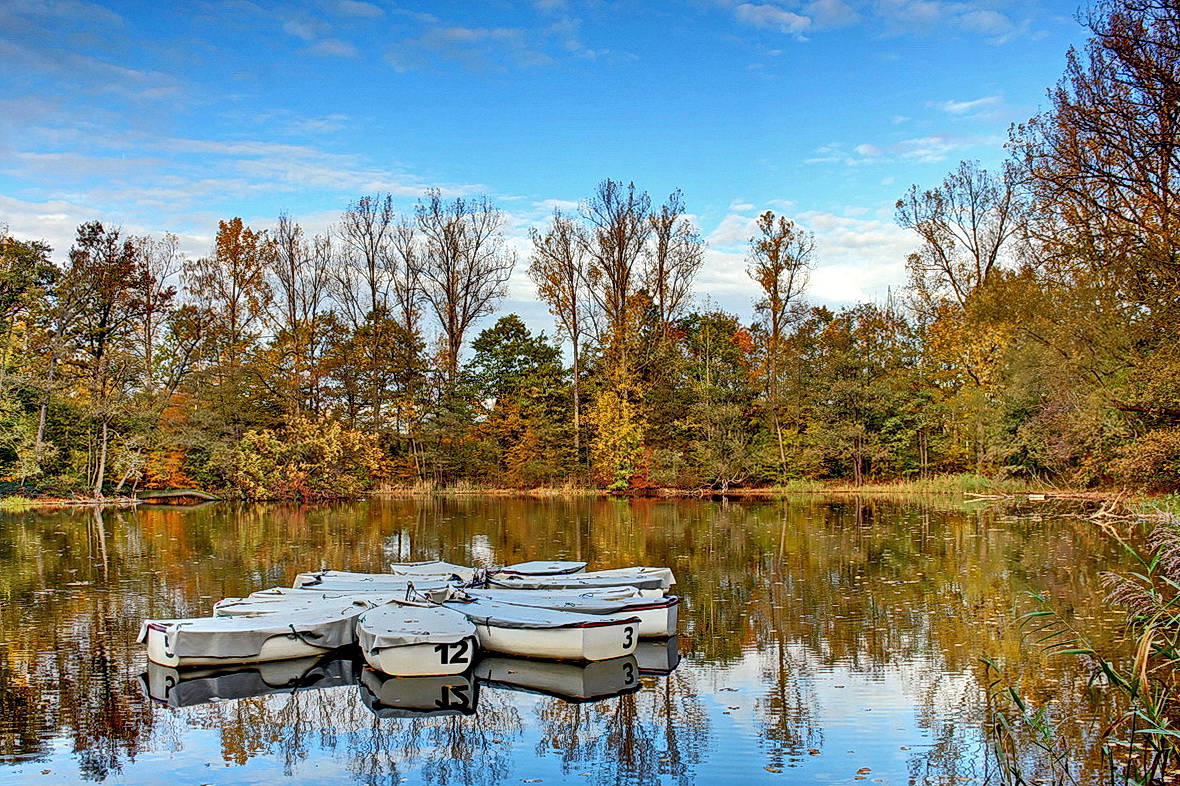 Paderborner Fischteiche 2