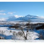 Padjelanta-Nationalpark