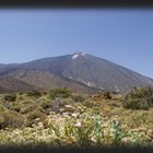 Padre Teide, einfach prachtvoll