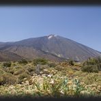 Padre Teide, einfach prachtvoll