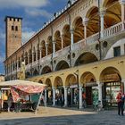 Padua - Markttag im Zentrum der Altstadt -