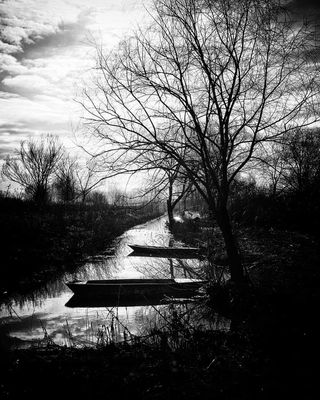 Padule di Fucecchio (Toscana)