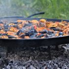 PAELLA EN PRÉPARATION 