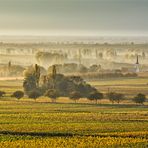 pälzer herbschd, jetzt ohne sensorfleck