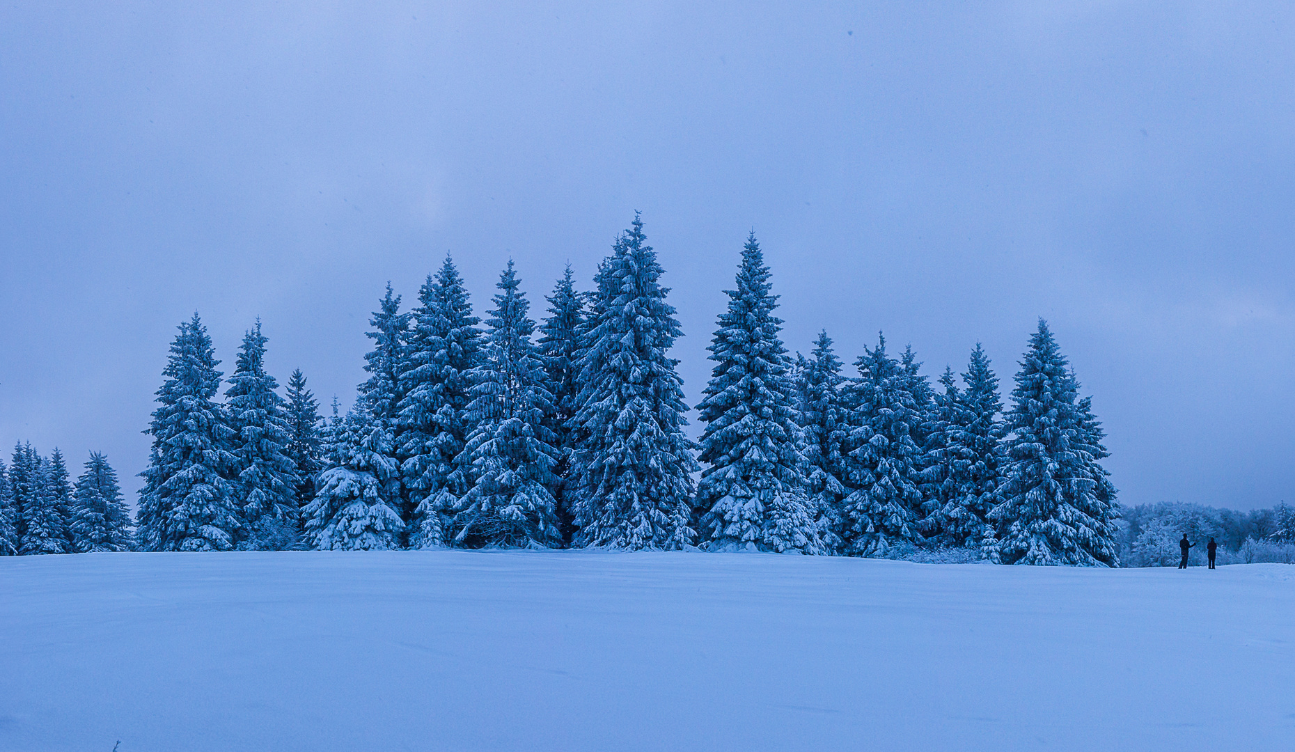 Pärchen im Schnee