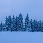 Pärchen im Schnee