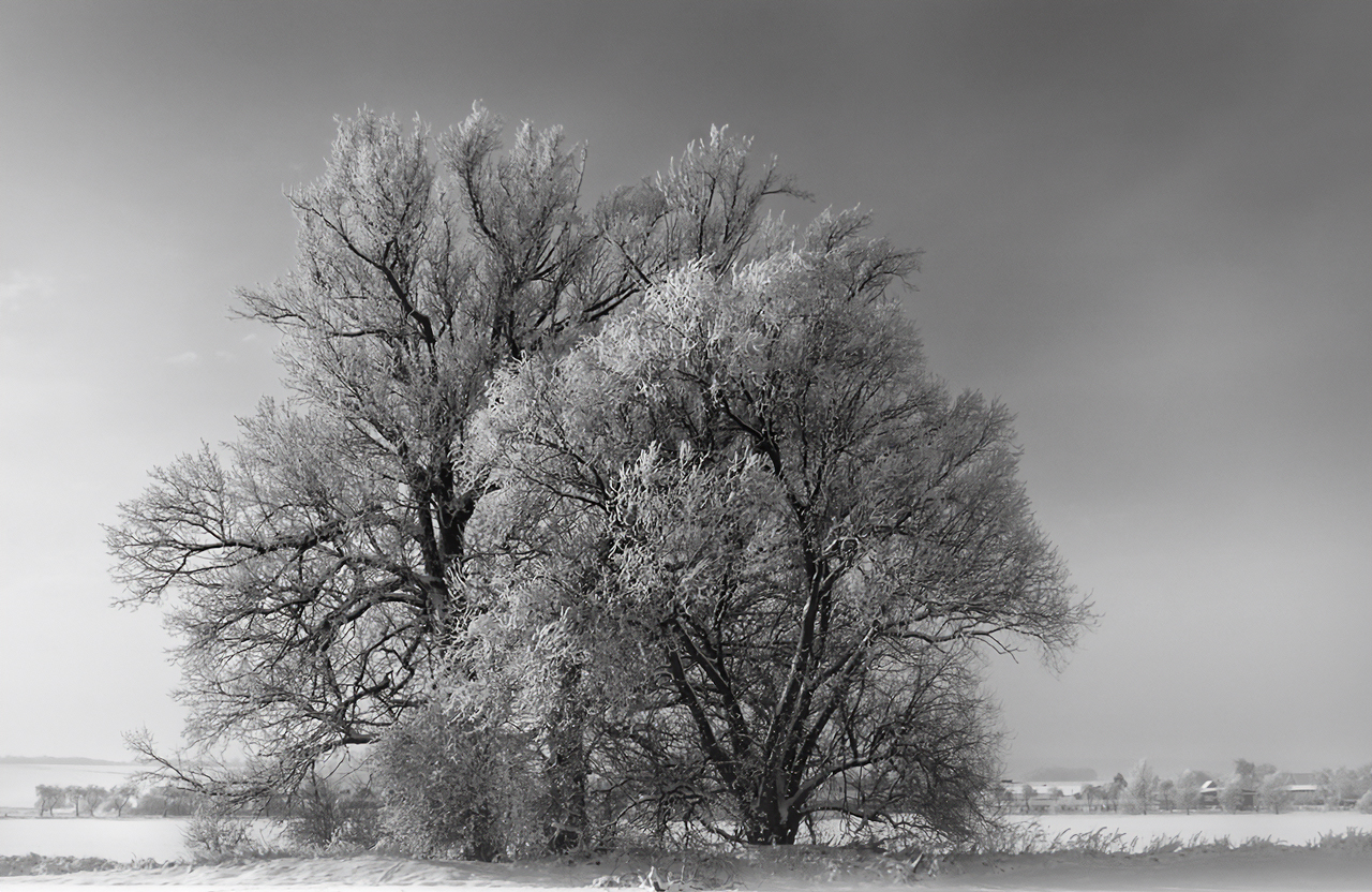 Pärchen im Winter