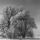 Pärchen im Winter