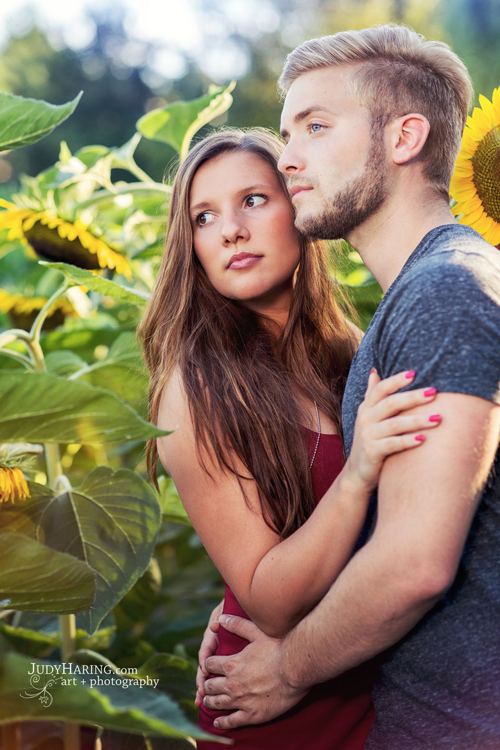 Pärchen in den Sonnenblumen