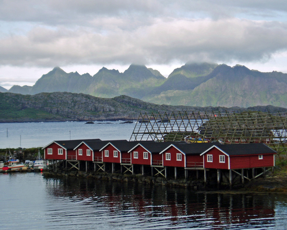 Paesaggi delle Lofoten